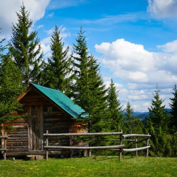 Eco Camp Drno Brdo，位于Kruševo的酒店