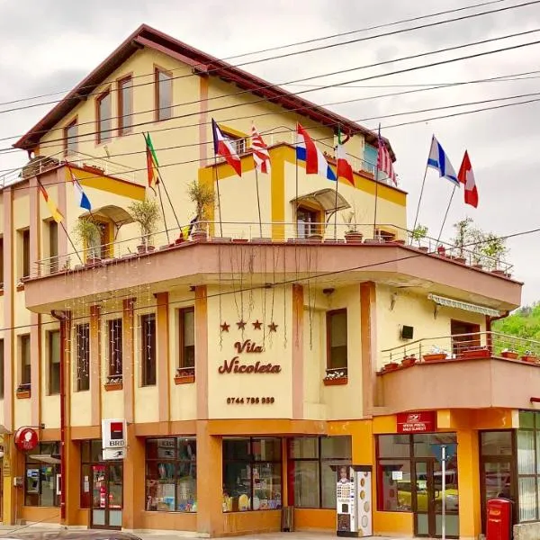 Vila Nicoleta，位于Vlăduceni的酒店