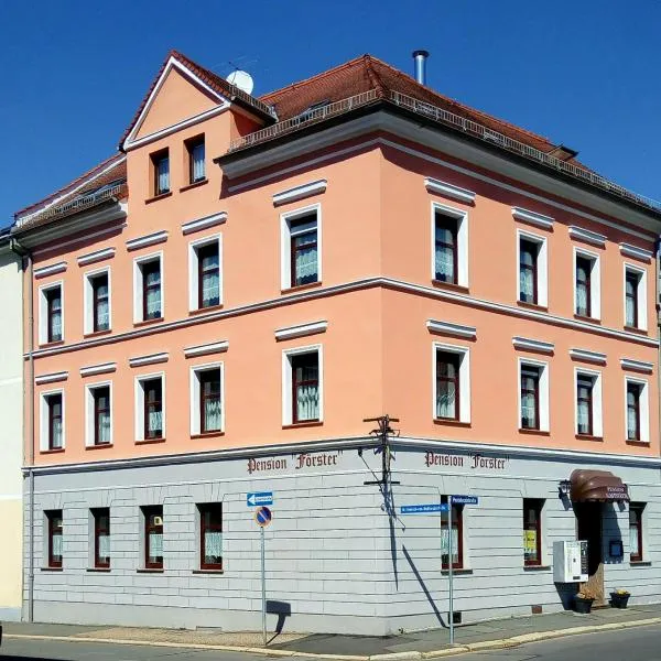 Pension Förster，位于Reichenbach的酒店