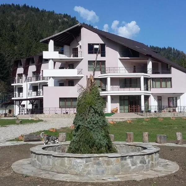 Pensiunea Poiana Soarelui，位于Brateş的酒店