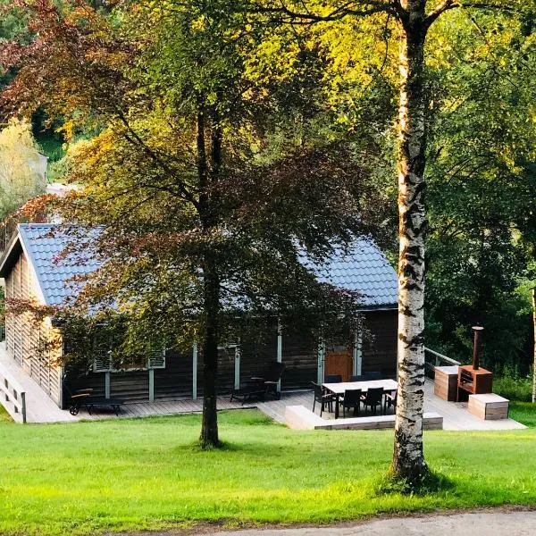 FWV Chalet 2 Le Scandinave，位于比林根的酒店