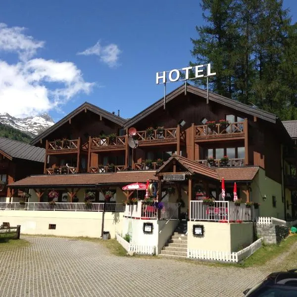 Hotel Garni Alpenhof，位于格里姆瑟尔霍斯皮的酒店