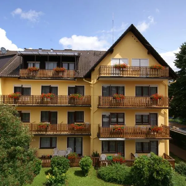 维德纳酒店，位于Bad Soden-Salmünster的酒店