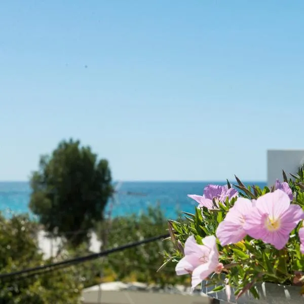 安德烈亚斯一室公寓，位于马斯蒂查里的酒店