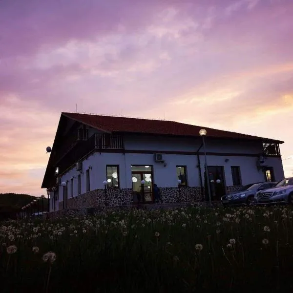 Pension Cetate Valcău de Sus，位于Valcău de Sus的酒店