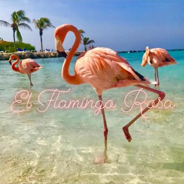 Casa vacanze El Flamingo Rosa Cod IUN P5386，位于弗卢米尼马焦雷的酒店