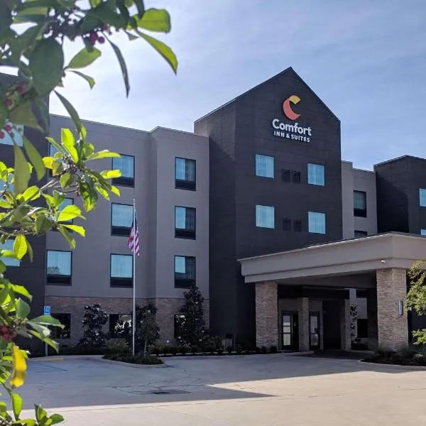 Comfort Inn & Suites，位于斯莱德尔的酒店