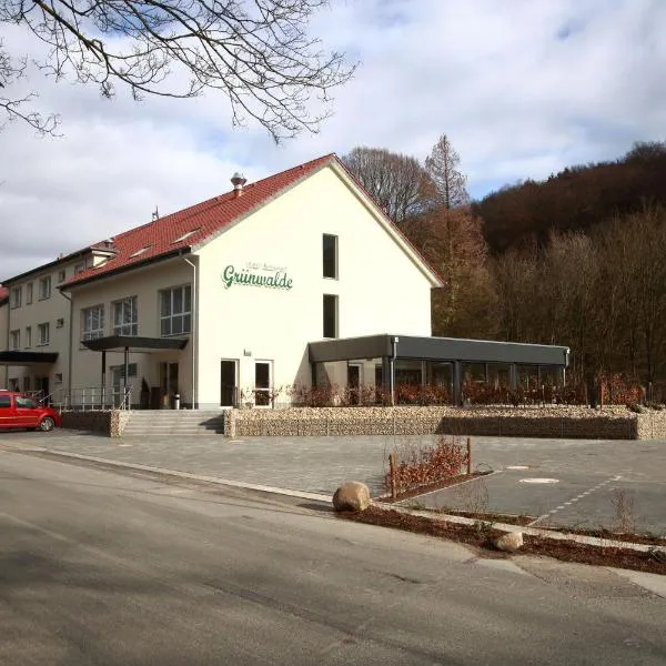 Hotel Grünwalde，位于Borgholzhausen的酒店