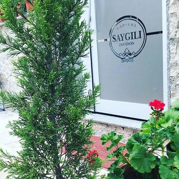 Saygılı Pan-Hotel，位于Lapseki的酒店