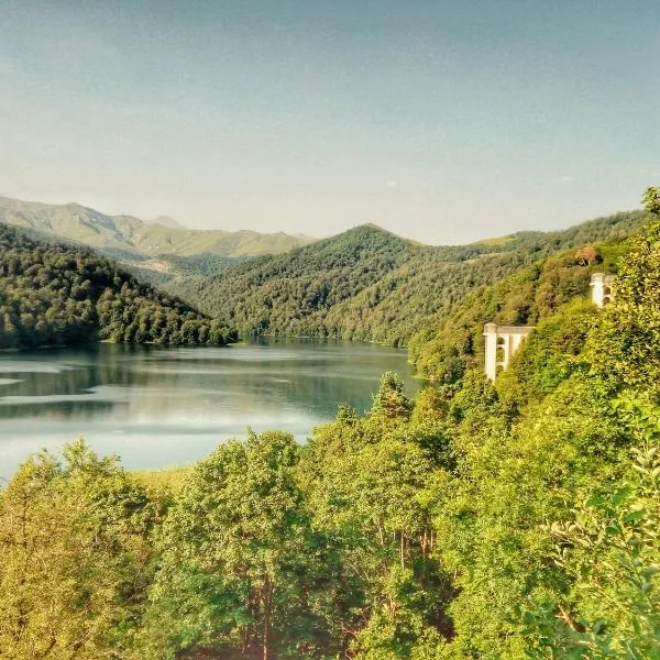 Goy Gol Lake Resort，位于Goygol的酒店