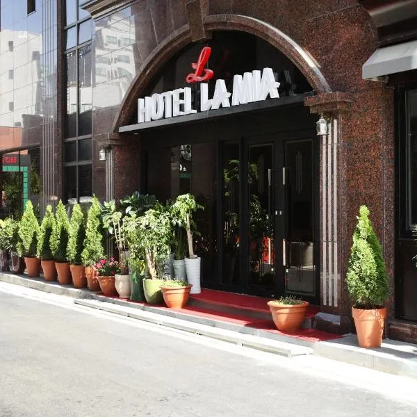 Residence Hotel Lamia，位于大田的酒店