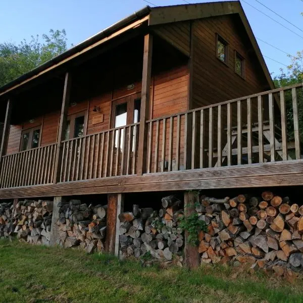 Ironbridge Lodge，位于艾恩布里奇的酒店