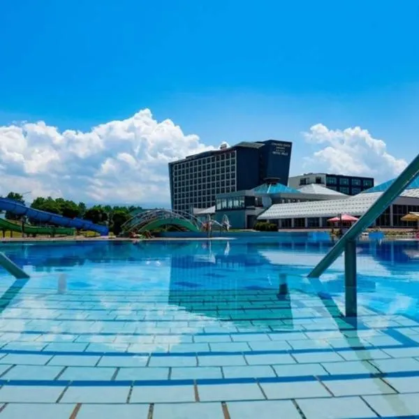 萨拉热窝山会议及温泉Spa酒店，位于Vreoca的酒店