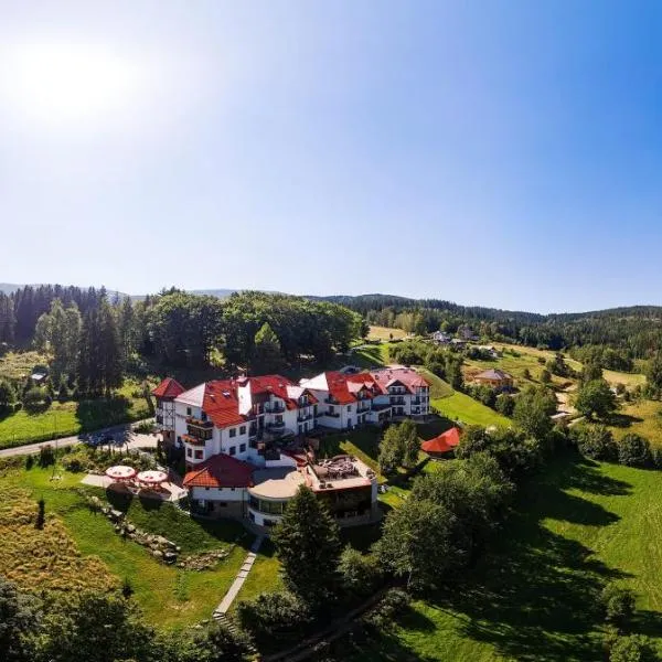Dziki Potok Konferencje & SPA，位于Bierutowice的酒店