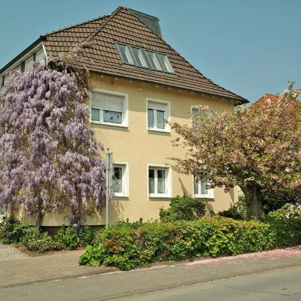 Pension Franzbäcker，位于Liebenau的酒店