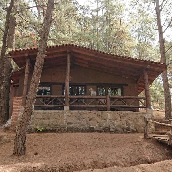 Cabañas Tapalpa Sierra del Tecuan, Cabaña Venado，位于Ferrería de Tula的酒店