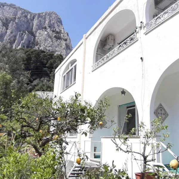 Villa Striano Capri，位于阿纳卡普里的酒店