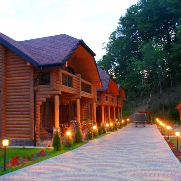 卡帕特绿洲酒店，位于Turʼya Polyana的酒店