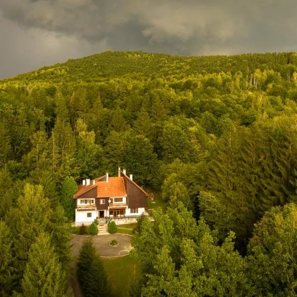 Kormos Residence，位于Brăduţ的酒店