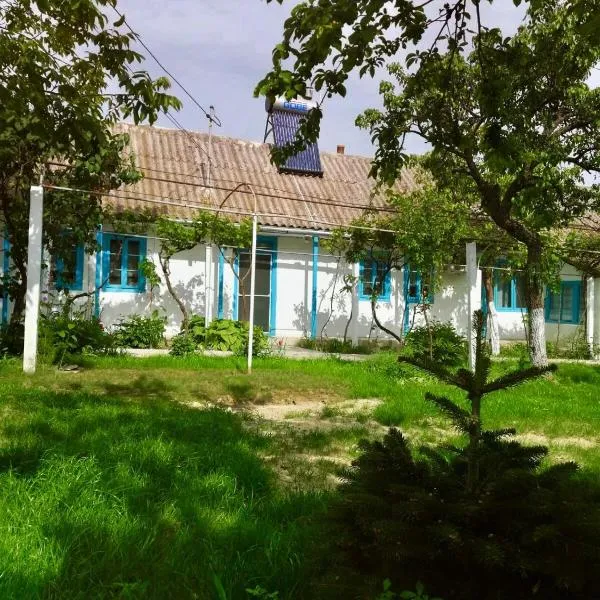 Casa Batranului Pescar - Old Fisherman's House，位于Salcioara的酒店