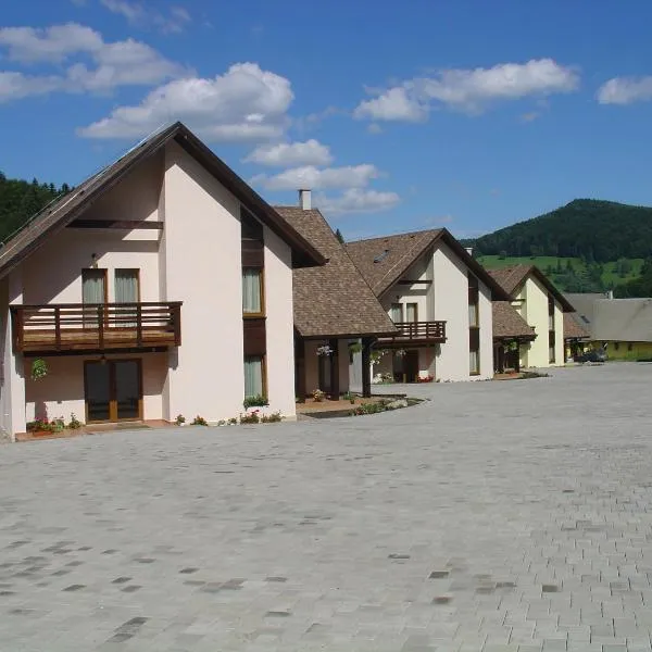 Complex Turistic Bucovina，位于Voivodeasa的酒店