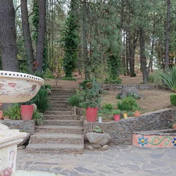 Cabañas Tapalpa Sierra del Tecuan, Cabaña Conejo，位于Atemajac de Brizuela的酒店