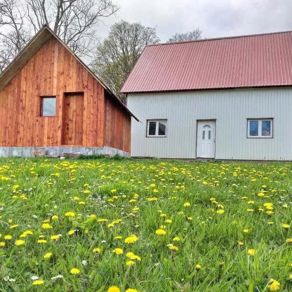 Domaćinstvo Krstajić - Rural holiday，位于Dobrilovina的酒店