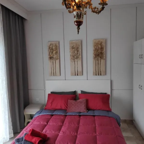 Cozy apartments，位于科莫蒂尼的酒店