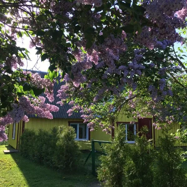 Kuraga Homestay in Kihnu，位于Rootsiküla的酒店