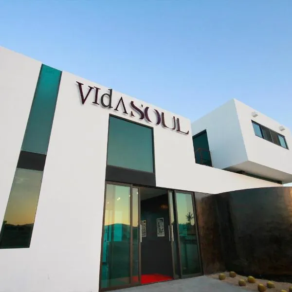 维达首尔酒店，位于Boca de la Vinorama的酒店