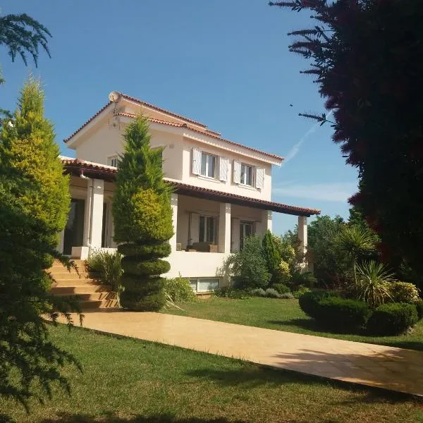 Beautiful Summer Villa in Chalkoutsi，位于Asprokhórion的酒店