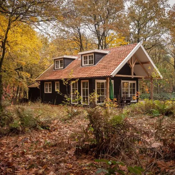 Bos en Heide，位于Hezingen的酒店
