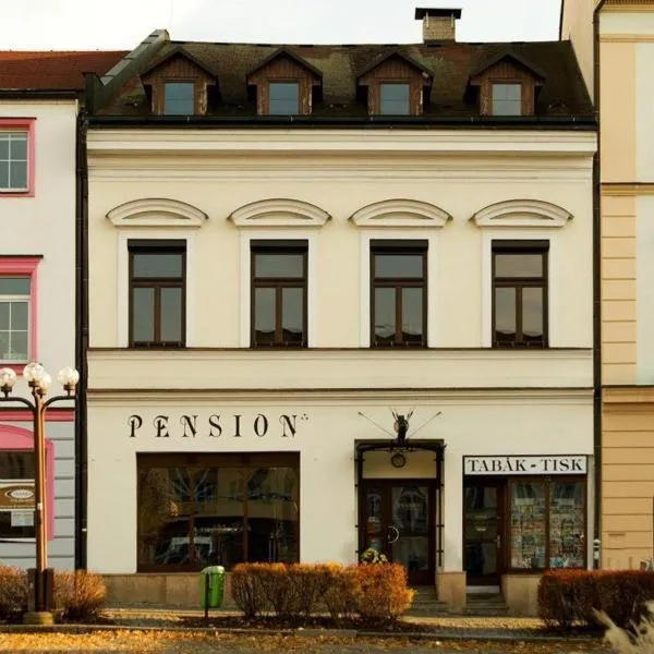 Pension na Starém náměstí，位于Uhřínovice的酒店