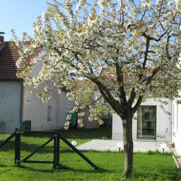 Pfeiffer´s Ferienwohnung，位于Diehsa的酒店