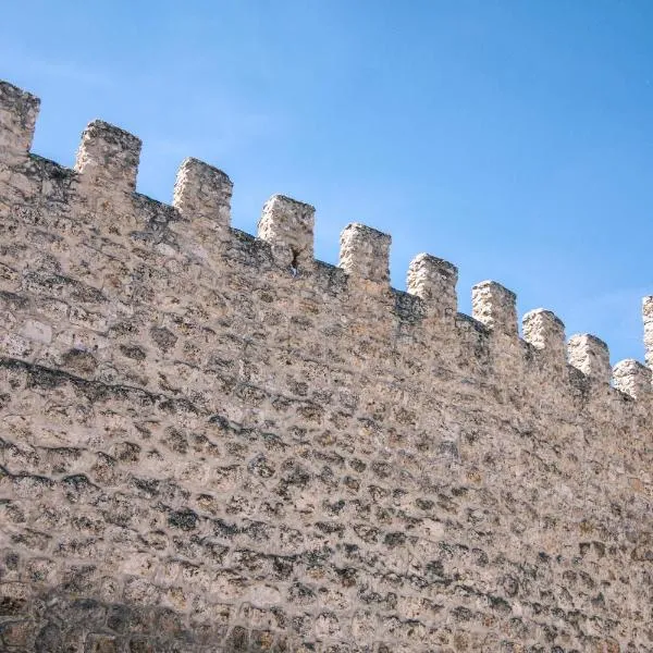 CASAS LA MURALLA，位于Canalejas de Peñafiel的酒店