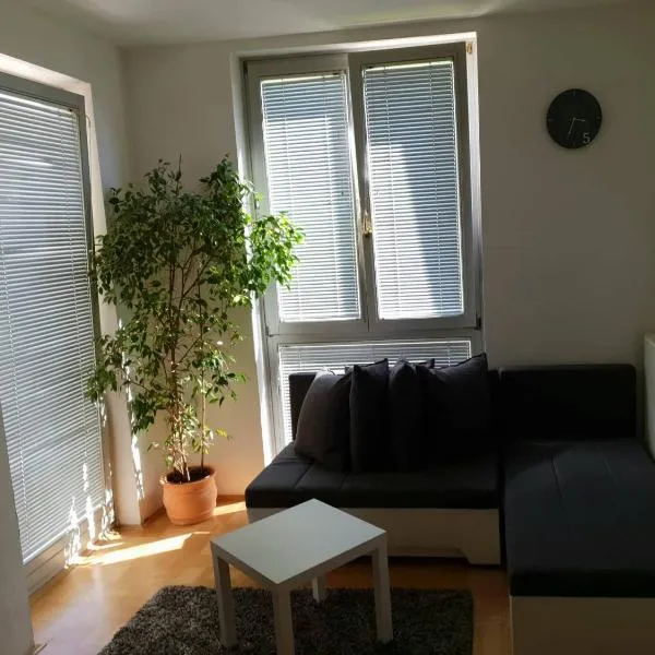 Victoria Apartment，位于卢布尔雅那的酒店