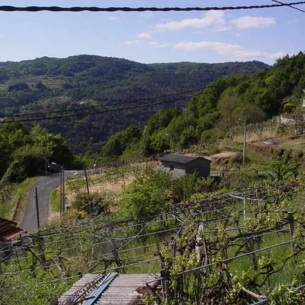 Casa en Ribeira Sacra，位于Carballeira的酒店