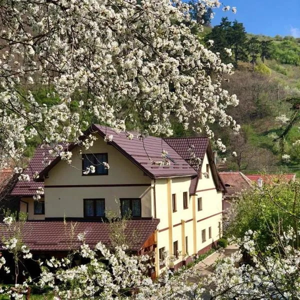Pensiunea Domnescu，位于Apoldu de Sus的酒店