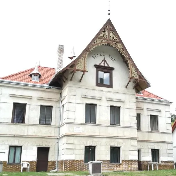 Pronájem pokojů Belle Vue，位于迪耶河畔弗拉诺夫的酒店
