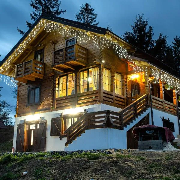 Tulean Cabin，位于Săliştea de Sus的酒店