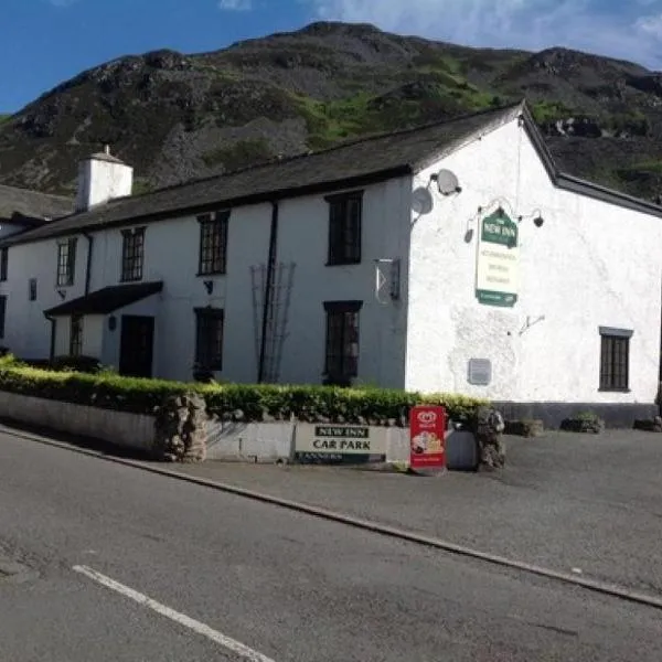 The New Inn，位于Llanuwchllyn的酒店