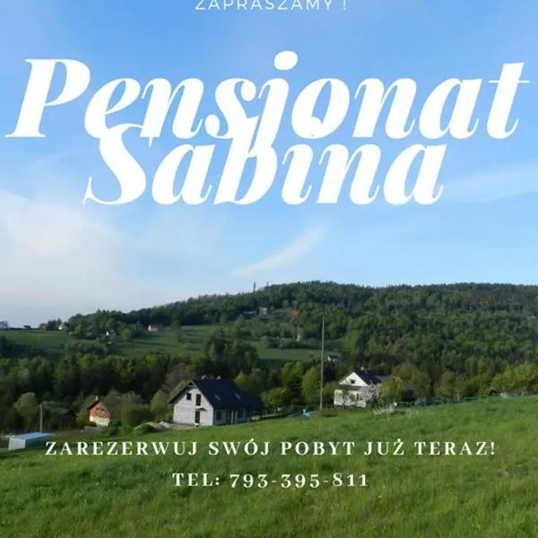 Pensjonat Sabina，位于Hucisko的酒店