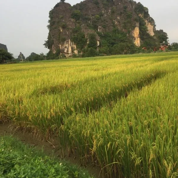 Tam Coc Heart Homestay，位于宁平的酒店