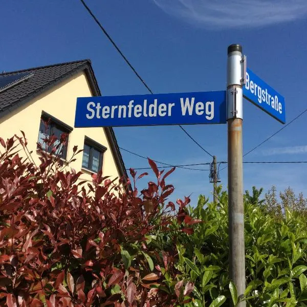 Ferienwohnung Sternfeld，位于梅灵的酒店