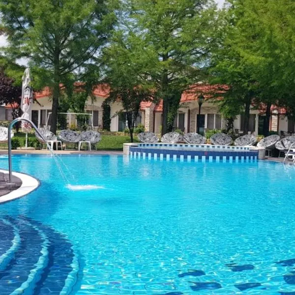 Steaua Apelor Family Resort，位于Partizanii的酒店