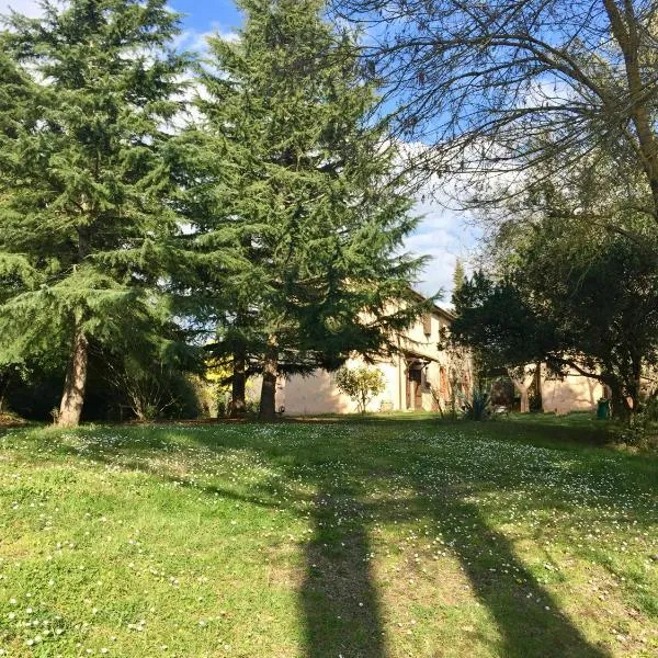 Agriturismo Bethsaid，位于福利亚的酒店