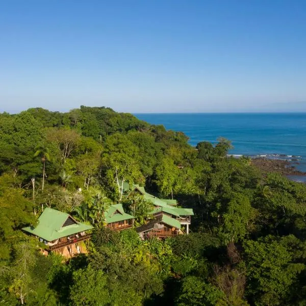 Aguila de Osa Rainforest Lodge，位于Isla Violin的酒店