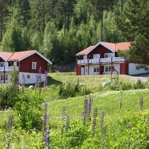 Bjursås Berg & Sjö，位于Enviken的酒店