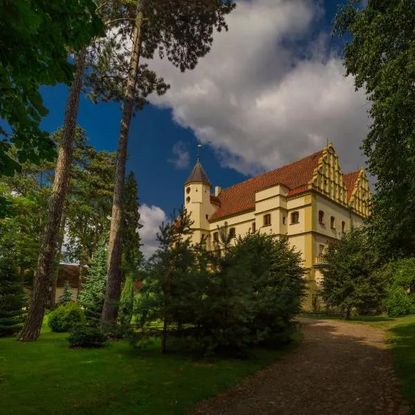 Zamek w Czernej，位于新苏尔的酒店