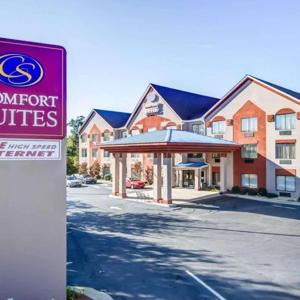 Comfort Suites Northside Hospital Gwinnett，位于洛根维尔的酒店